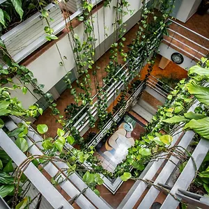 Picasso Hotel Bogota